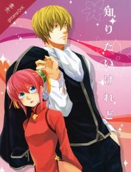 Gintama Doujinshi - Shiritai Keredo