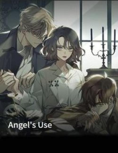 ANGEL'S USE