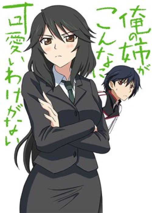 Infinite Stratos Doujinshi- My Older Sister can be this overprotective
